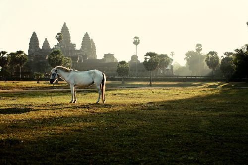 travel-photography