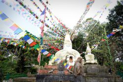 nepal