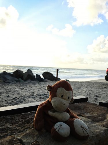 10-family-activities-in-san-diego