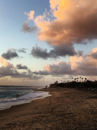 10-family-activities-in-san-diego