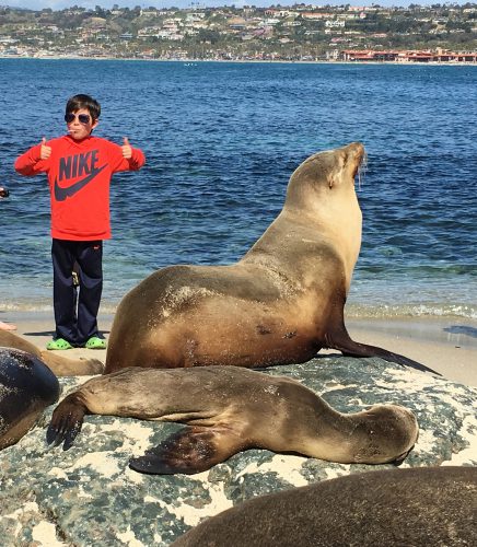 10-family-activities-in-san-diego