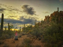 family-friendly-activities-at-four-seasons-scottsdale