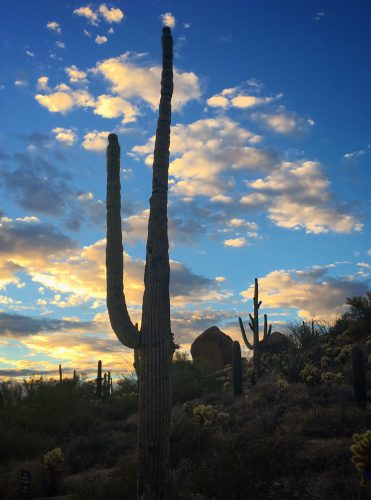 family-friendly-activities-at-four-seasons-scottsdale