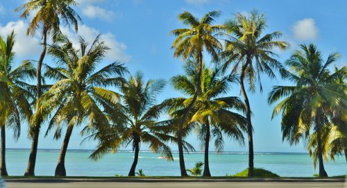 unique-spring-break-options-for-2017