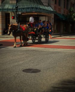 what-to-do-in-charleston