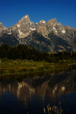 summer-family-activities-in-jackson-hole