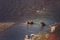 summer-family-activities-in-jackson-hole