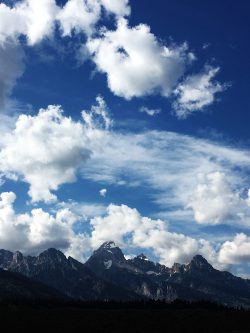 jackson-hole-family-travel
