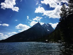 jackson-hole-family-travel