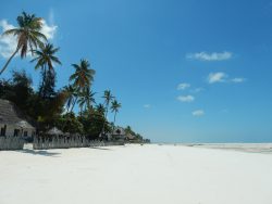 tanzania-with-kids