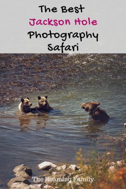 jackson-hole-photography-safaris