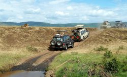 tanzania-with-kids