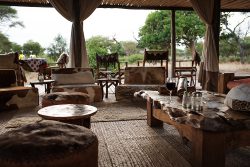 kuro-tented-camp-with-family