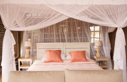 kuro-tented-camp-with-family
