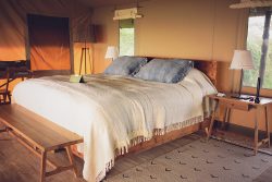 entamanu-tented-camp-with-kids