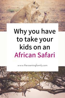 kuro-tented-camp-with-family