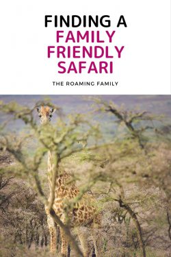 family-friendly-safari