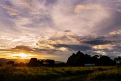 serengeti-safari-camp-with-family