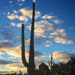 3-perfect-days-in-scottsdale
