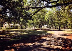 montage-palmetto-bluff