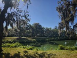 montage-palmetto-bluff