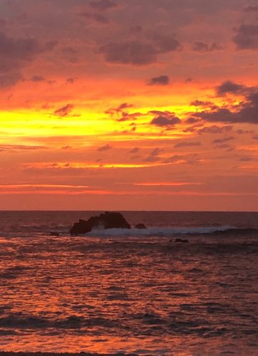 kids-to-four-seasons-punta-mita
