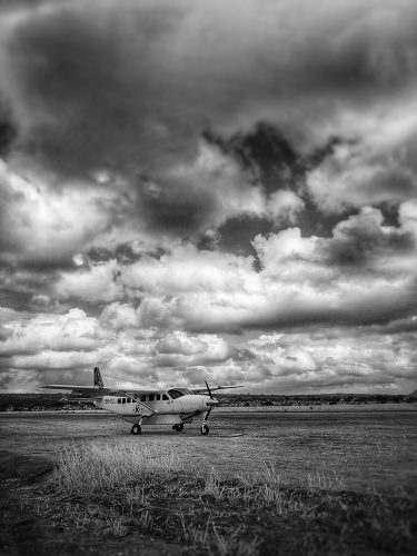 safari charter flight
