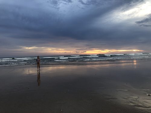 where to eat in Nosara