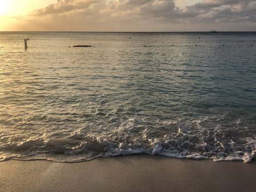 Wondering if you should take the kids to Grand Cayman? The answer is yes! A beautiful island filled with things to do!