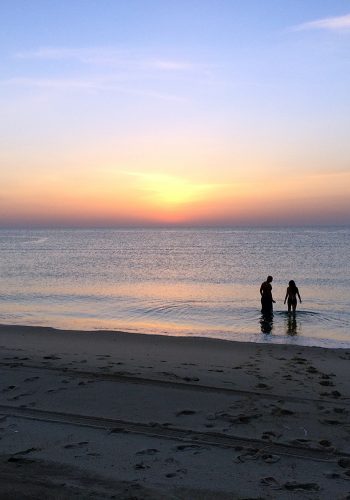 There are so many things to do in Qatar!