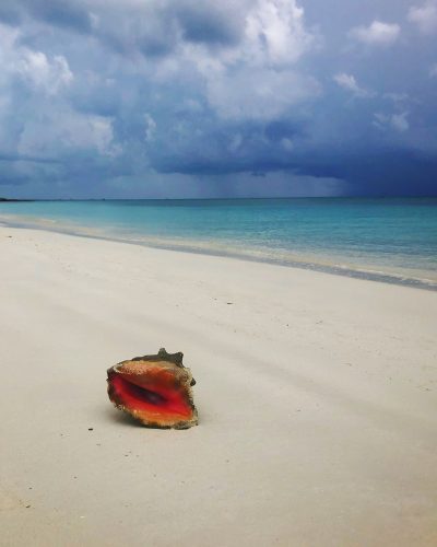 There are so many things to do in Turks and Caicos Islands!